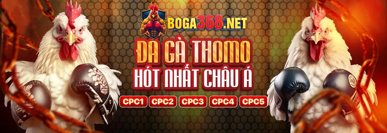 Ứng dụng VN168 trên điện thoại