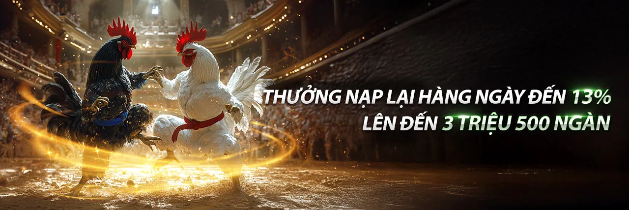 Sân vận động bóng đá với không khí sôi động và logo VN168